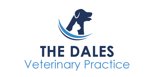 The Dales Veterinary Practice